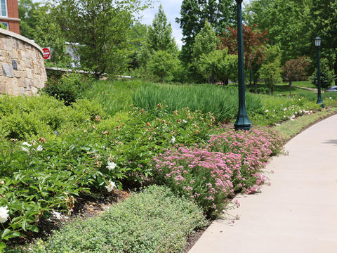 LaCross Botanical Gardens - International Garden